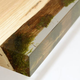 Illustration for article titled The Natural Moss on This Wooden Bookcase Is Preserved Forever in Resin